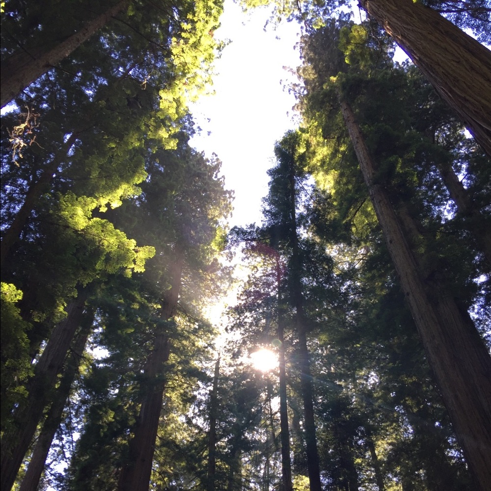 Meet your Posher, Cloey